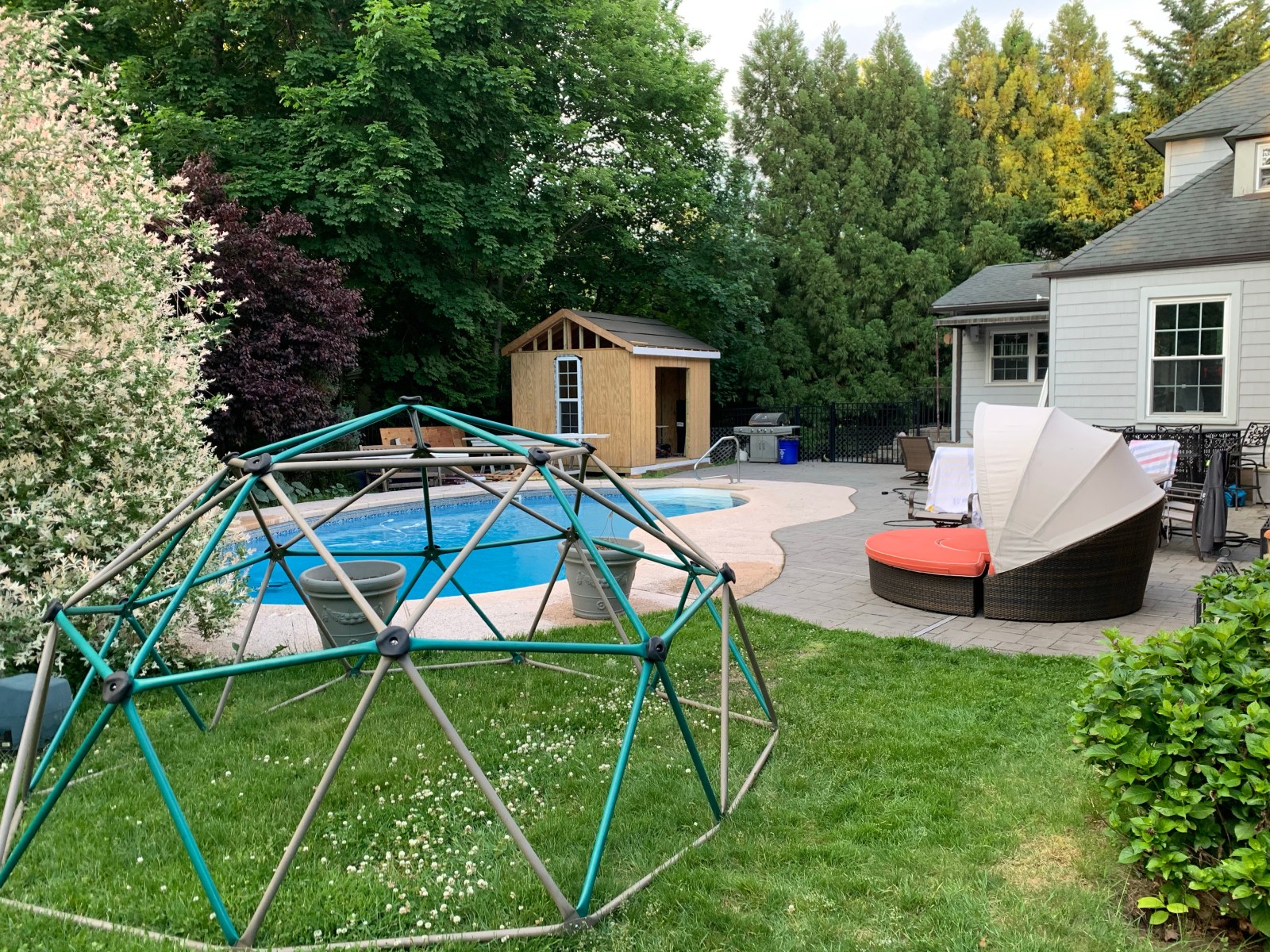 A backyard with a pool, a green climbing dome and the finished wooden shed in the background